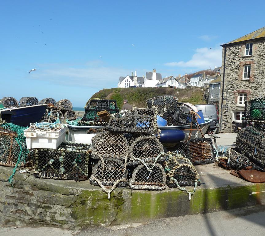 The White Cottage B&B Saint Teath Exterior photo