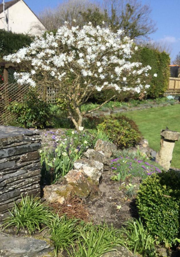 The White Cottage B&B Saint Teath Exterior photo